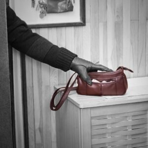 gloved hand stealing purse from home